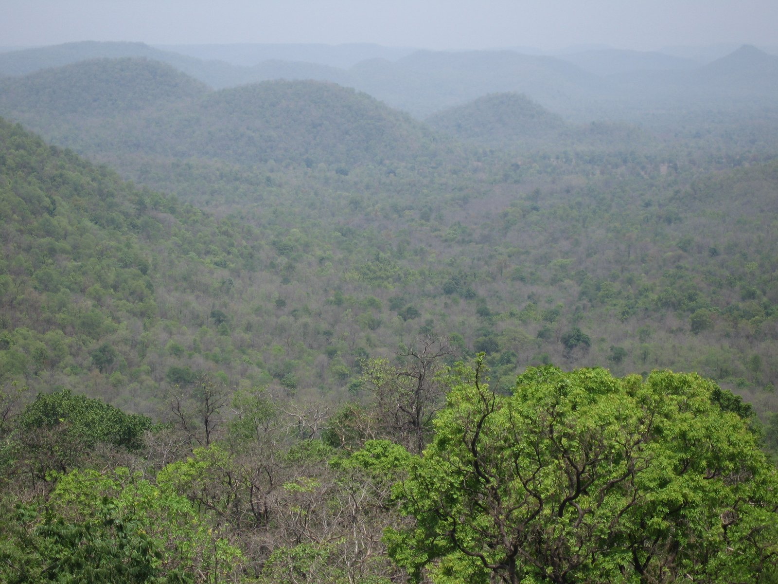 Delhi / Jabalpur – Sal Valley