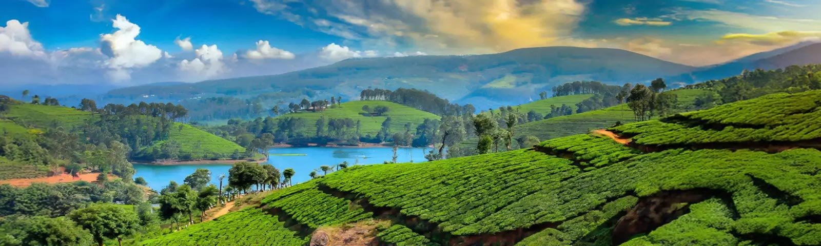 Ooty