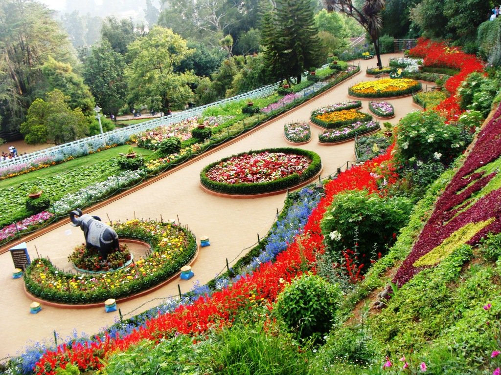 Delhi - Chandigarh