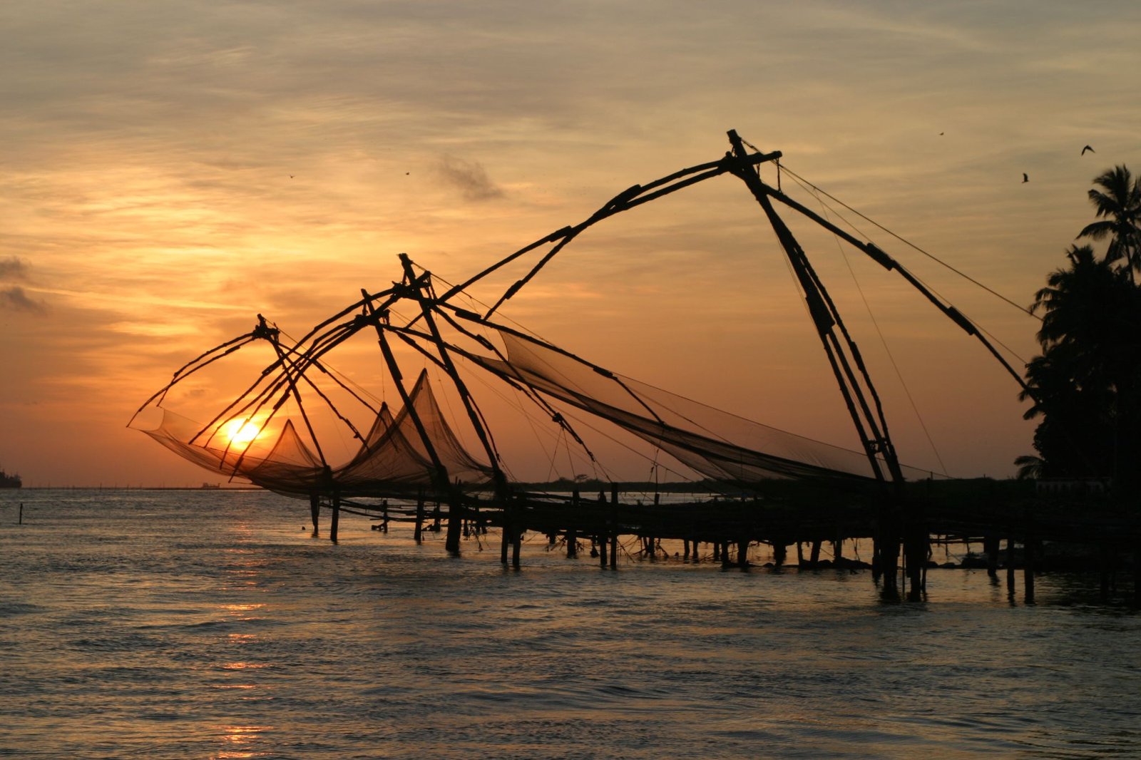 Arrive Cochin