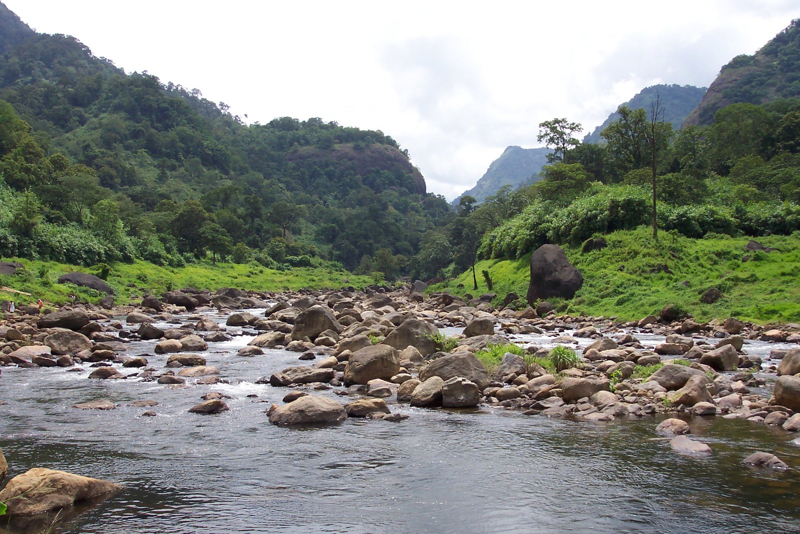 Periyar