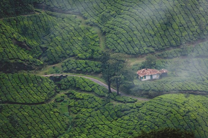 Cochin – Palakkad ( 105 Kms & 3 hrs drive)