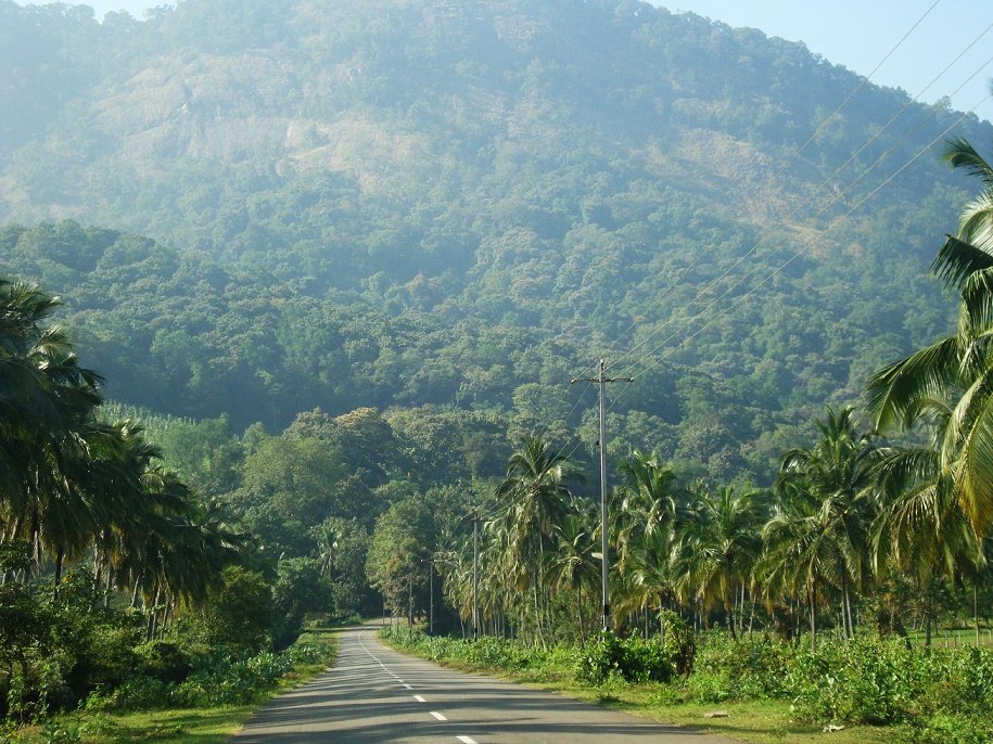 Palakkad