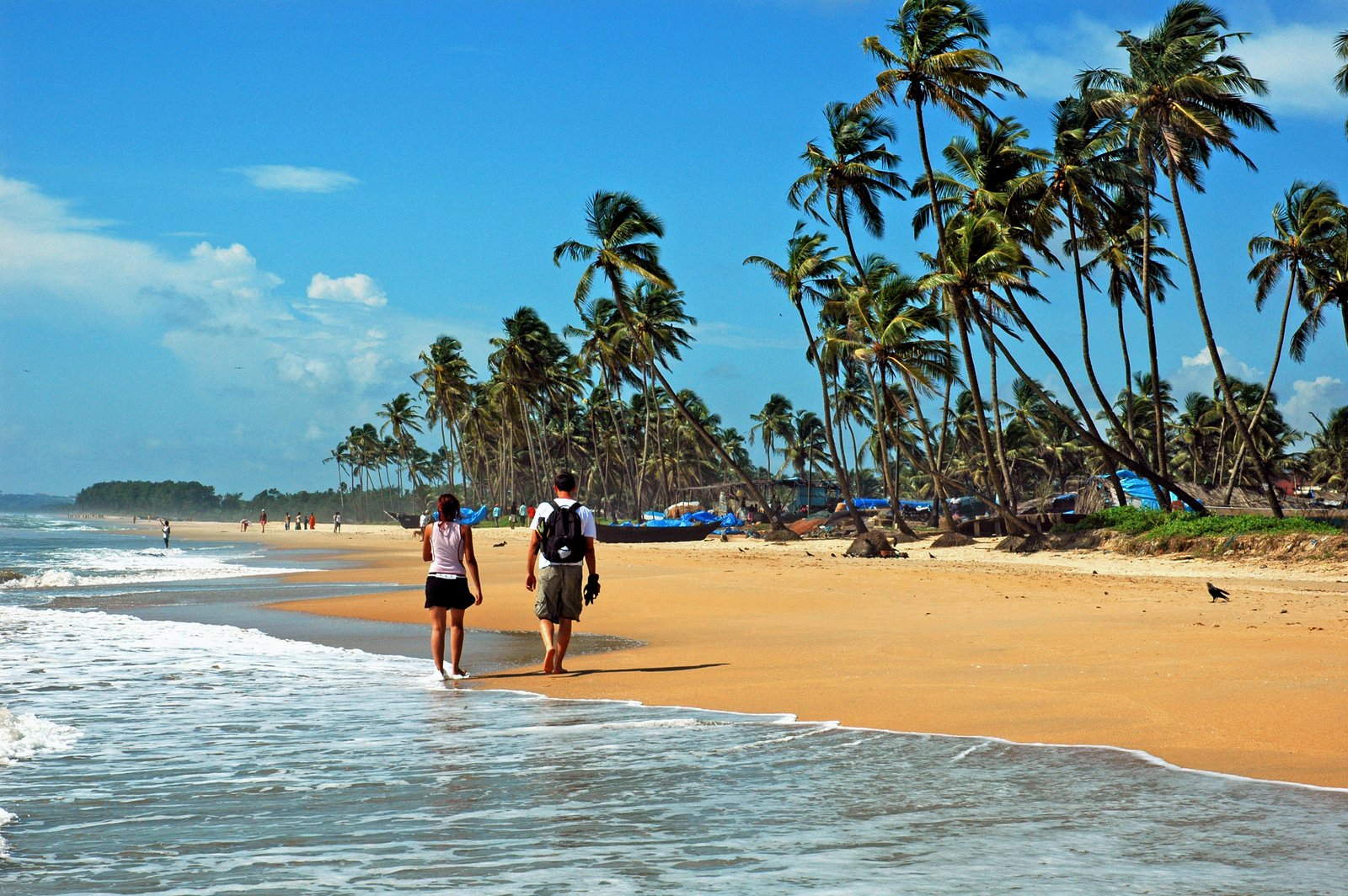 Arrive Goa