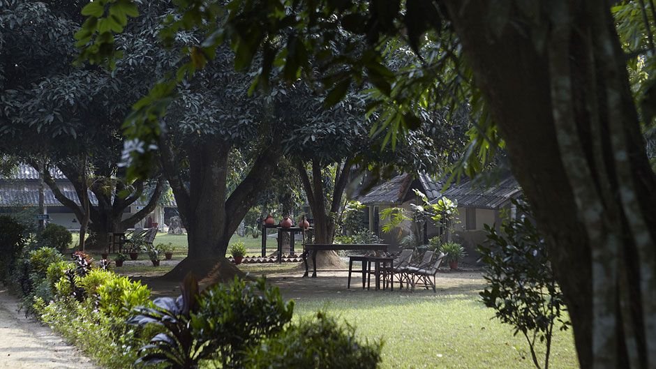 Tiger Tops Tharu Lodge