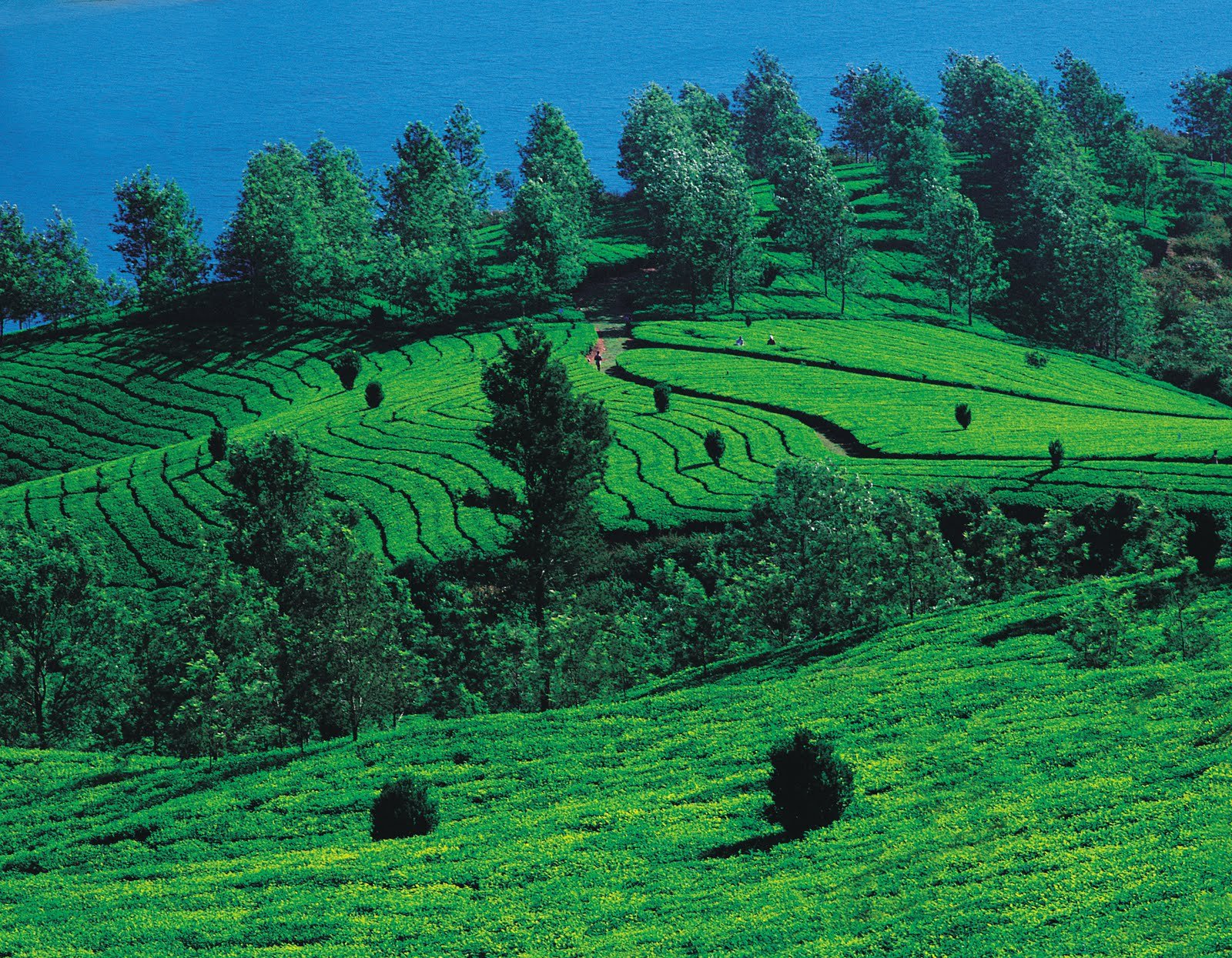 Vythiri