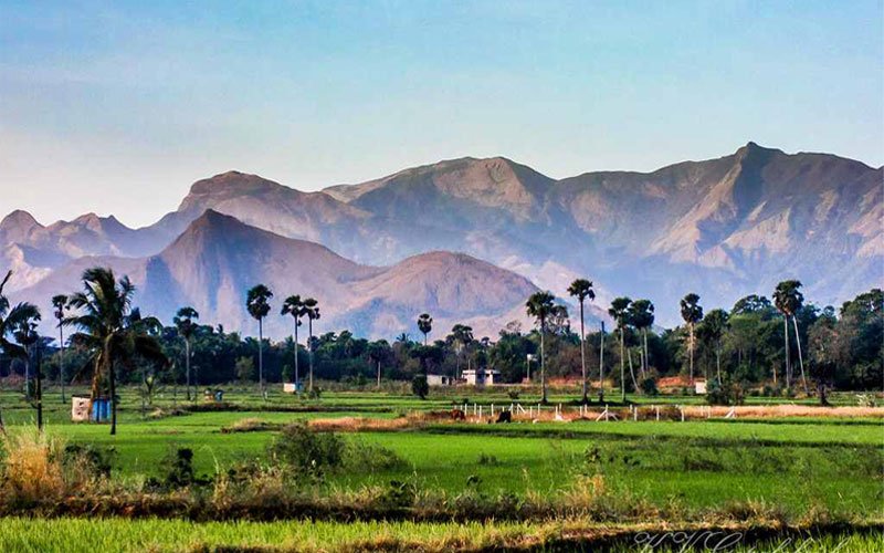 Palakkad