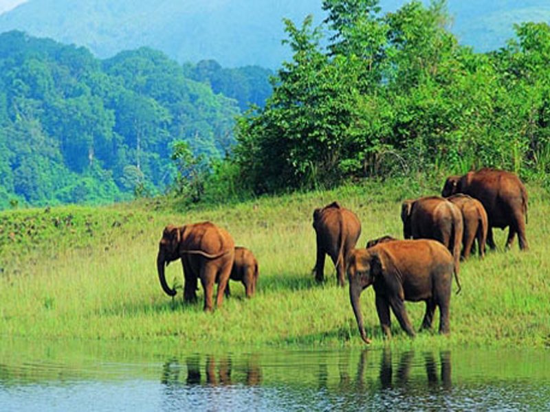 Madurai - Periyar