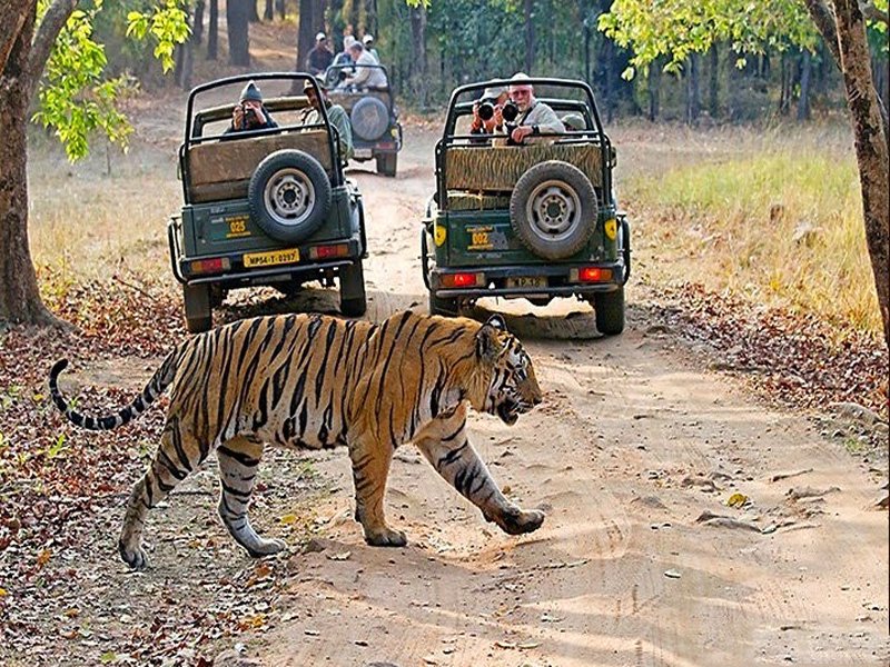 Ranthambhore