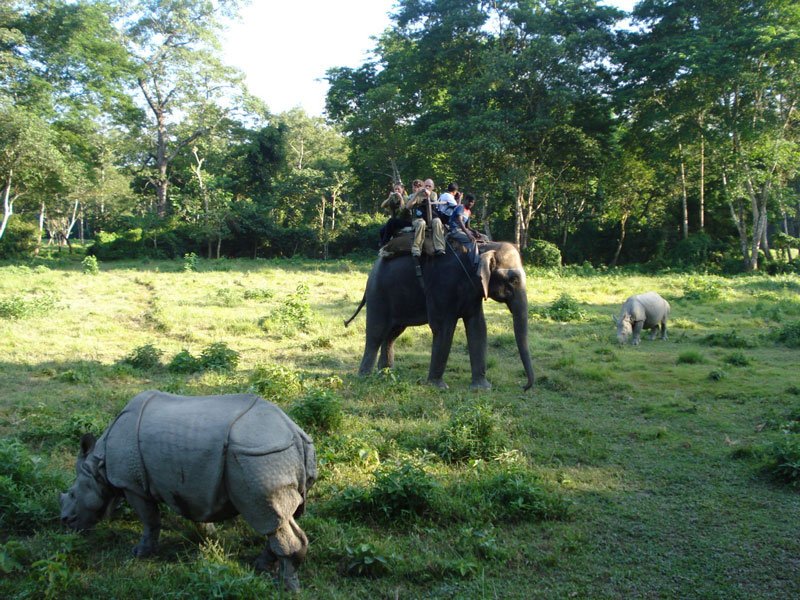 Chitwan – Kathmandu