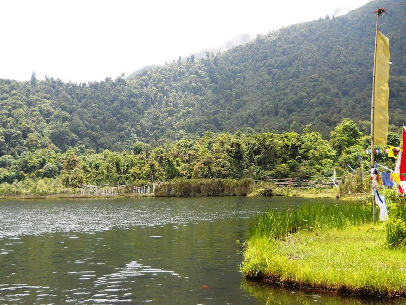 Pelling