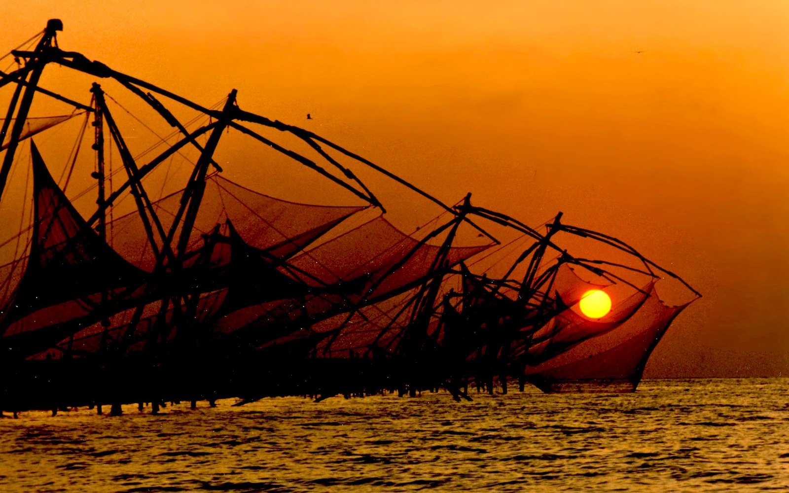 Arrive Cochin – Kumarakom (50 Kms & 2 hrs drive)