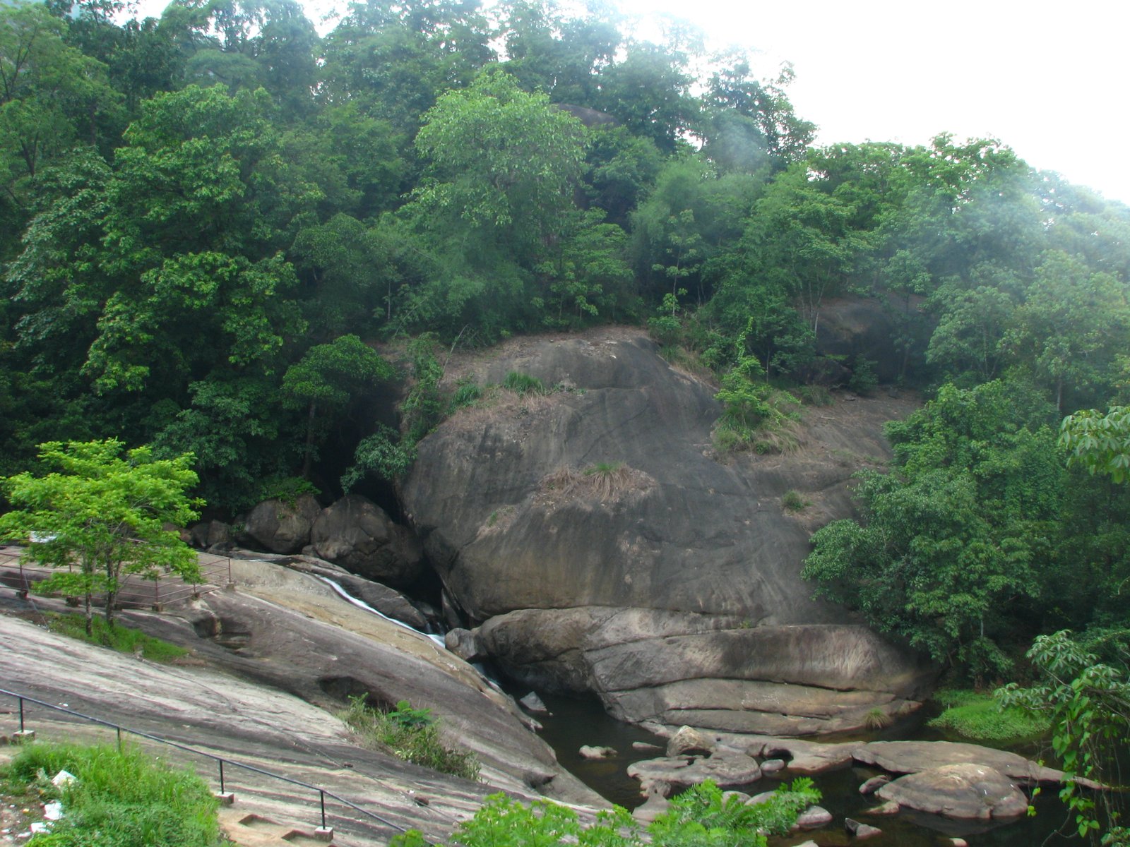 Palakkad